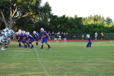 Enlarge photo 103