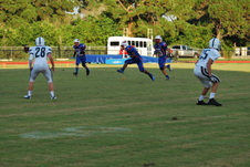 Enlarge photo 107