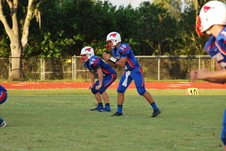 Enlarge photo 128