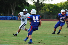 Enlarge photo 137