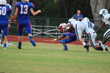 Enlarge photo 141