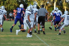 Enlarge photo 164