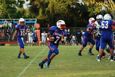 Enlarge photo 174