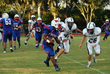 Enlarge photo 175