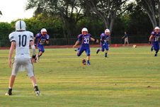 Enlarge photo 203