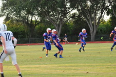 Enlarge photo 205