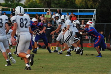 Enlarge photo 206