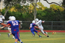 Enlarge photo 213