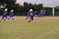 Enlarge photo 227
