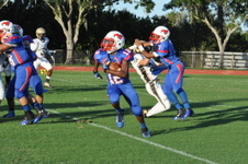 Enlarge photo 68