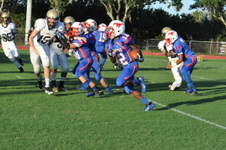 Enlarge photo 70
