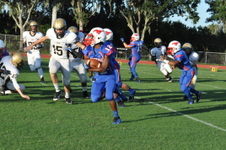 Enlarge photo 72