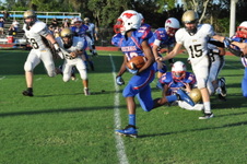 Enlarge photo 76