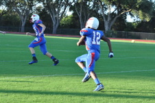 Enlarge photo 86