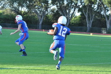 Enlarge photo 88