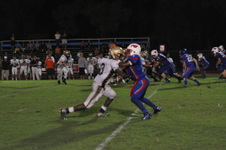 Enlarge photo 93