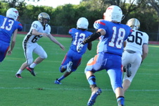 Enlarge photo 96