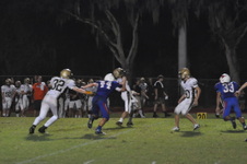 Enlarge photo 114