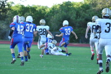 Enlarge photo 133