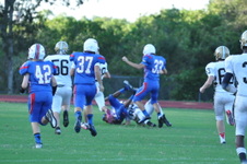 Enlarge photo 135