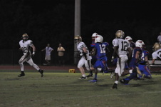 Enlarge photo 140