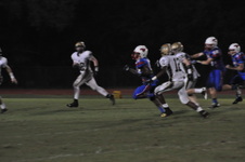 Enlarge photo 141