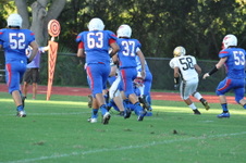 Enlarge photo 165