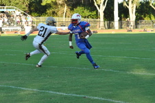 Enlarge photo 195