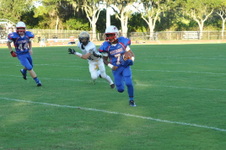 Enlarge photo 203