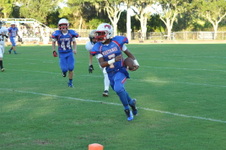 Enlarge photo 207