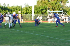 Enlarge photo 226