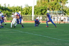 Enlarge photo 228