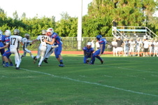 Enlarge photo 229