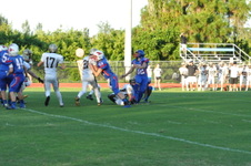 Enlarge photo 231