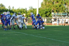 Enlarge photo 233