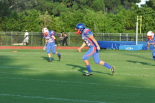 Enlarge photo 236