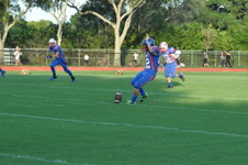Enlarge photo 240