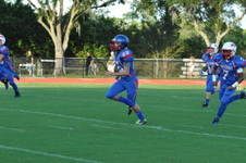 Enlarge photo 246