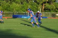Enlarge photo 248