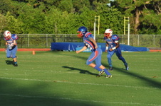 Enlarge photo 247
