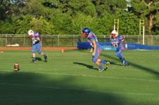 Enlarge photo 249