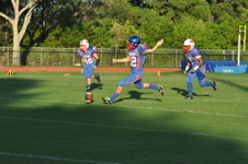 Enlarge photo 251