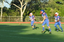 Enlarge photo 254