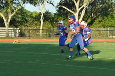 Enlarge photo 256