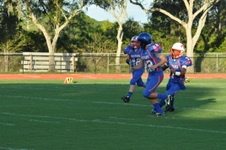 Enlarge photo 257