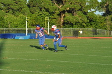 Enlarge photo 262