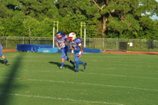 Enlarge photo 263