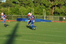 Enlarge photo 264