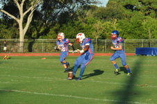 Enlarge photo 267