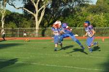 Enlarge photo 268